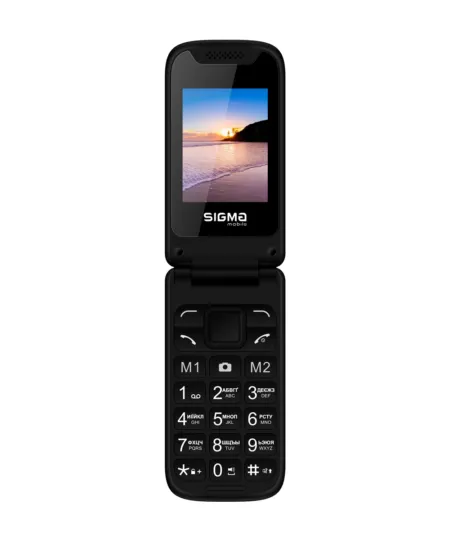 Sigma X241